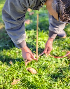 It's important to take the time to plan out a new garden bed and put up lines so plantings are straight and properly measured.