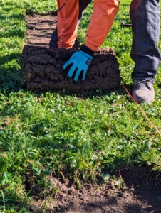 And then José rolls up the sections, so they can be removed. The sod is two inches thick, and with the soil can be quite heavy.