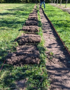 All these sod pieces will be used in another section of the farm, so nothing is wasted.