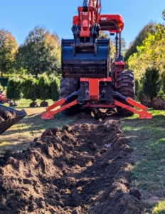 And then the digging begins. Our Kubota M62 tractor loader and backhoe are positioned to dig a trench for the boxwood. Digging a trench is not only faster when planting a number of specimens in a row compared to individual holes, but it also allows more break up of the soil for new roots to grow and for better circulation of oxygen and water.