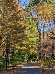 It is fall here now, but in Australia and New Zealand, autumn begins in March and ends in May, while those who live near the equator miss this season entirely because their regions get a consistent amount of sun.