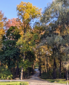 At my farm I planted many different types of trees in hopes that they would shade, provide climate control, and change color at different times, in different ways. It’s so beautiful to see them change through the seasons.