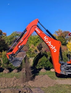 My trusted Kubota M62 tractor loader and backhoe are positioned to dig a trench where the sod was removed. When there is enough room to work, we dig trenches - it's faster when planting a number of specimens in a row compared to individual holes.