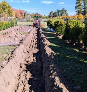 It doesn't take long before the entire trench is dug. Adan also places the removed soil on a tarp, so it is easy to clean-up later.