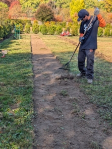 José rakes the stripped bed of any extra sod or debris.