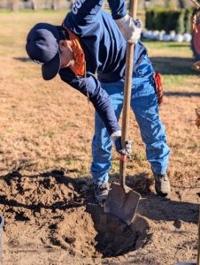 For this project, the holes are dug manually - 43 of them.