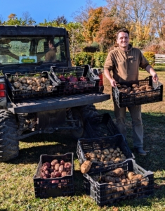 Here's Ryan with our bounty ready to be stored in a cool, dry place. Another tip – never wash potatoes until right before using – washing them shortens the potato’s storage life. Because potatoes grow underground, it is always a surprise to see how prolific the plants have been. It was an excellent harvest!