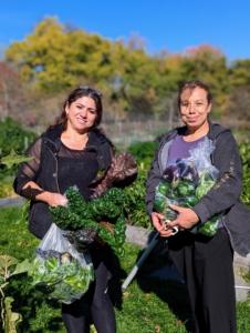 Enma and Elvira picked a bounty of wonderful vegetables for me and my hardworking crew.