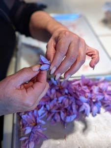 Here, Enma removes the three threads by carefully pulling them from the center of the bloom. Enma uses her fingers, but one can also use tweezers.