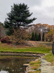 Just minutes from my farm in an area surrounded by the beautiful fall colored trees, is Select Horticulture, Inc. Whenever I have time, it's fun to stop in and see what trees and shrubs are in stock - and there's always something for everyone, even now as the cooler weather sets in.