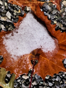 My operations manager, Matt Krack, took this closeup of the snow melting on fallen leaf later in the day. Snow forms when the temperature is at or below 32-degrees Fahrenheit. At this temperature, water vapor in the atmosphere condenses directly into ice crystals. The day warmed quickly to the mid 40s.