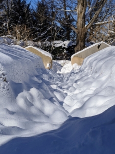 And do you recognize the center footpath? It is completely blanketed in winter white. The sun dial is still at the back, all covered with snow. And the giant ginkgo stands tall behind it.