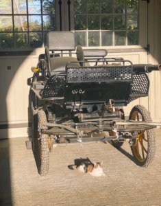 Here's Cinco under my carriage. Many cats love to lounge in a warm sunlit space.