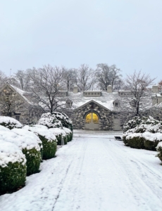 We got enough snow just to cover the ground and the tops of the boxwood. My allée is still due to be covered in protective burlap, but this snow will be brushed off all the boxwood around the farm by hand... and broom.