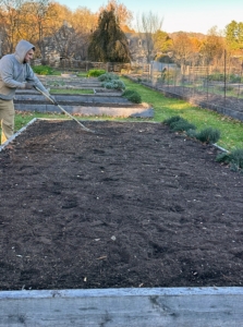 Finally the beds are raked and then given and good drink of water and that’s it – we wait until next year to harvest. If you’ve never grown your own garlic, give it a try – it’s so easy and so rewarding. Go to the Keene Garlic web site to learn more!