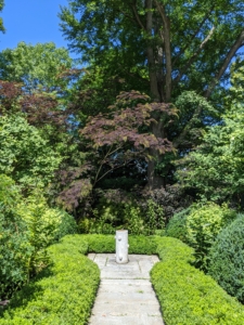 This is the garden in late June. Growing beneath the ginkgo is a beautiful chocolate mimosa tree, a fast-growing, deciduous tree with a wide, umbrella-shaped canopy.