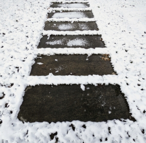 These are the stone pavers outside my Tenant House – outlined in snow. The Old Farmer’s Almanac predicts this winter will be wet and cold. We certainly need more precipitation, so we'll see.