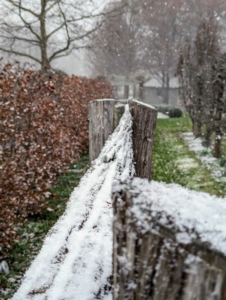 ... And so were the horizontal tops of the antique fence rails.