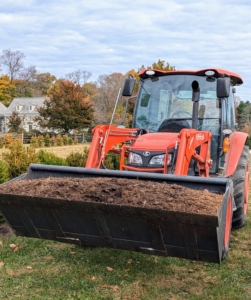 In my maze, a tractor bucket full of mulch grown right here at my farm is ready to put down. The mulch helps regulate soil temperatures and protect plant roots from extreme weather fluctuations. It also retains moisture, and suppresses weeds, ensuring healthier plants going into the next growing season.