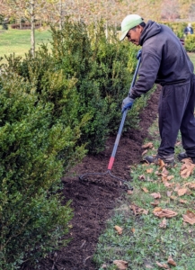 Phurba uses a hard rake to create a two to three inch layer over the beds.