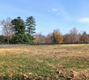 Here is a wide view of one of my horse pastures. This day was perfect for aerating and treating – no wind, mild temperatures, and a beautiful blue sky.