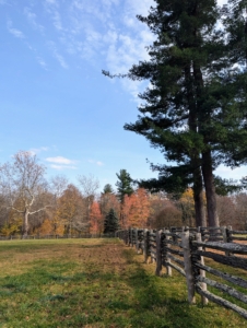 It only takes a few minutes to aerate a paddock. Chhiring gets all the pastures and hayfields done within a day.