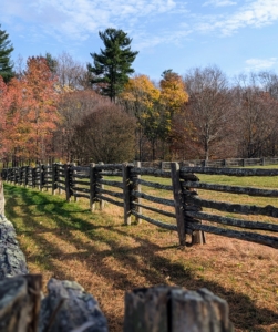 I have lots of fencing here at the farm. It surrounds my horse paddocks, my orchard, and various other trees. The antique railings were constructed into a split rail fence and are in good shape, but many of the cedar uprights are deteriorated, wobbly and no longer support the railings as they should.