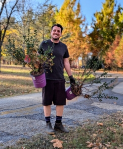 Ryan places Cotoneaster along the carriage road leading to my Run-In paddock. These plants will do well here in full sun, but can tolerate partial shade.