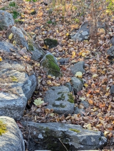 Here at my farm, the stream beds are filled with leaves, but no flowing water.