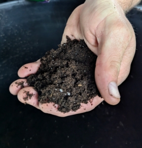 In a trug bucket, Ryan combines two parts peat moss with one part horticulture sand and perlite. Peat moss is a brown, fibrous material that's a combination of decomposed plant matter and organic debris that accumulates in wetlands.