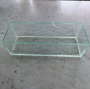 Ryan selects a glass container that is at least 10 inches wide and several inches deep.