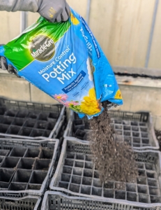 We use Miracle-Gro® Moisture Control® Potting Mix, which feeds plants for up to six months.