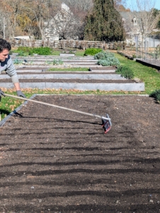 Ryan uses a Bed Preparation Rake from Johnny’s Selected Seeds to create furrows in the soil. Hard plastic red tubes slide onto selected teeth of the rake to mark the rows.