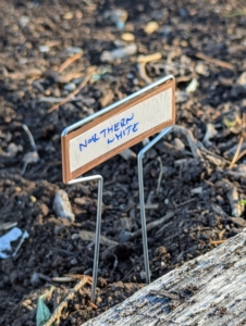 Each marker is placed at the end of the row for easy identification.