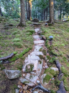 One will always get good exercise at Skylands. This is the walking path up on the hill near the lost pools. Low pathway lights guide walkers at night.