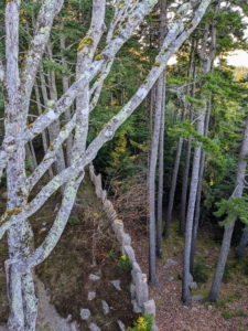 And see what is on the other side - a 30-foot drop. We're thankful for those "teeth."