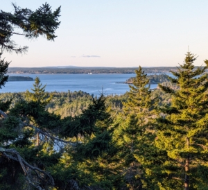 And this is a beautiful autumn view of Seal Harbor. Most of the boats have disappeared from their harbor moorings. Sutton Island is in the distance – a small, private island south of where I am on Mount Desert.