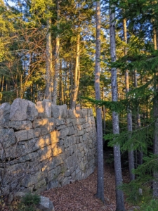 This wall is seen outside the laundry room windows. The evergreens sometimes cast interesting shadows on the stone.