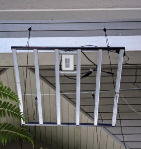 Here it is hanging above the potted specimens. The bar-style design allows proper light distribution and airflow to pass between the bars. Because these lights are LED, they are long-lasting and the most energy-efficient grow light option.