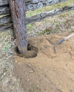 Once a new post is positioned three feet down into the hole, Pete and Fernando adjust it for level, and turn the post so that the nicest side faces out. The new posts will be very secure here – and no cement is needed.