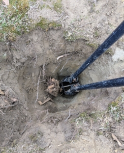 Pete uses the post hole digger to try to pull the rest of the post out, but it doesn't budge.