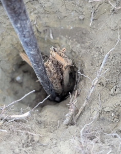 He tries again with the tamping bar. One can see the remaining piece of the post still wedged in pretty tightly.