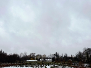 This photo shows the gray skies. Gray skies are caused by a phenomenon called a temperature inversion, where cold air near the ground is trapped by a layer of warmer air above, leading to the formation of thick, flat stratus clouds that block sunlight and leave only gray.