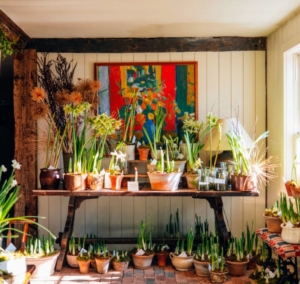 Here's a table filled with beautifully forced winter bulbs from @english.garden.grown. (Photo by Gabe Zimmer @catskillimage)