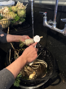 When cleaning parsnips, wash them under cool running water using a vegetable brush. Never use soap. Once they are clean, they can be wrapped in paper towel and stored in the refrigerator for up to two weeks.