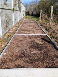 This raised bed behind my main greenhouse was previously used as a cold frame. A cold frame is a transparent-roofed enclosure, built low to the ground that utilizes solar energy and insulation to create a microclimate suitable for growing or overwintering plants. The glass cover made out of old windows broke, but I kept the bed for planting cool season flowers.