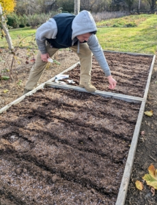 Next, Ryan sprinkles the seeds in the furrows. The bed was designed for easy reach from both sides.