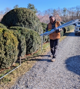 Constructing the frame for the burlap takes several days, but the process is well worth the effort during cold snaps, high winds, and snowstorms.