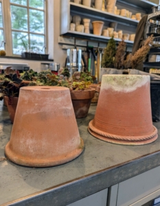 I like to use clay pots for my begonias. They allow proper aeration and moisture to penetrate through the sides and to the plant.