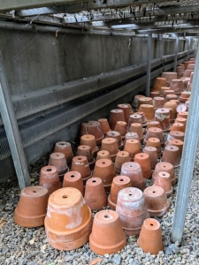 We store many of the empty pots underneath the sliding tables where they can be accessed quickly. Clay and terra cotta containers can be stored anywhere where the temperatures will not fall below freezing.